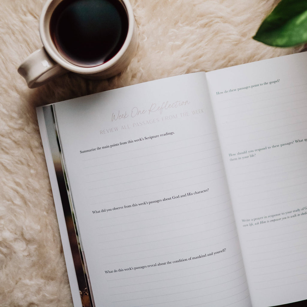 The Daily Grace Co - When Fear Meets Faith
