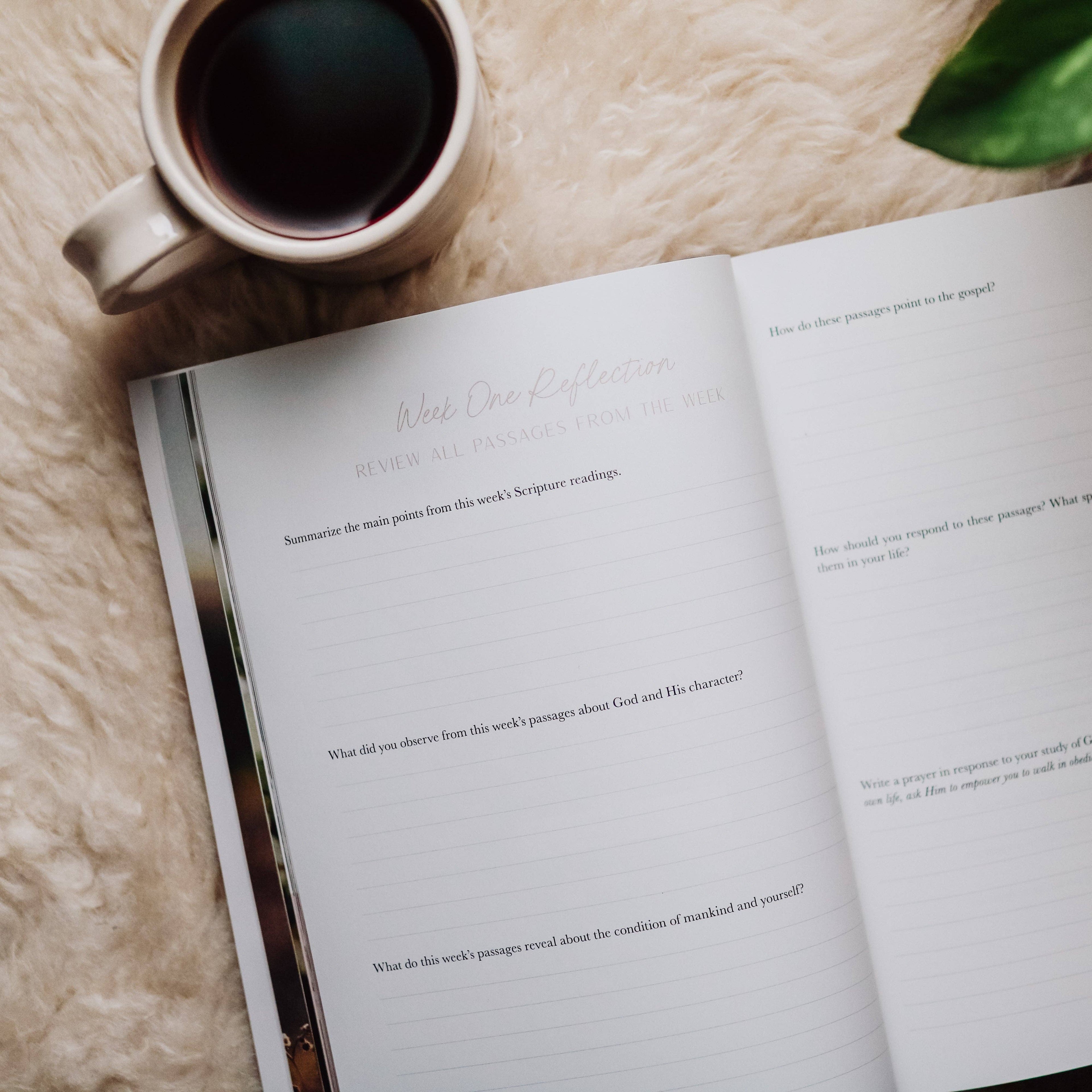 The Daily Grace Co - When Fear Meets Faith