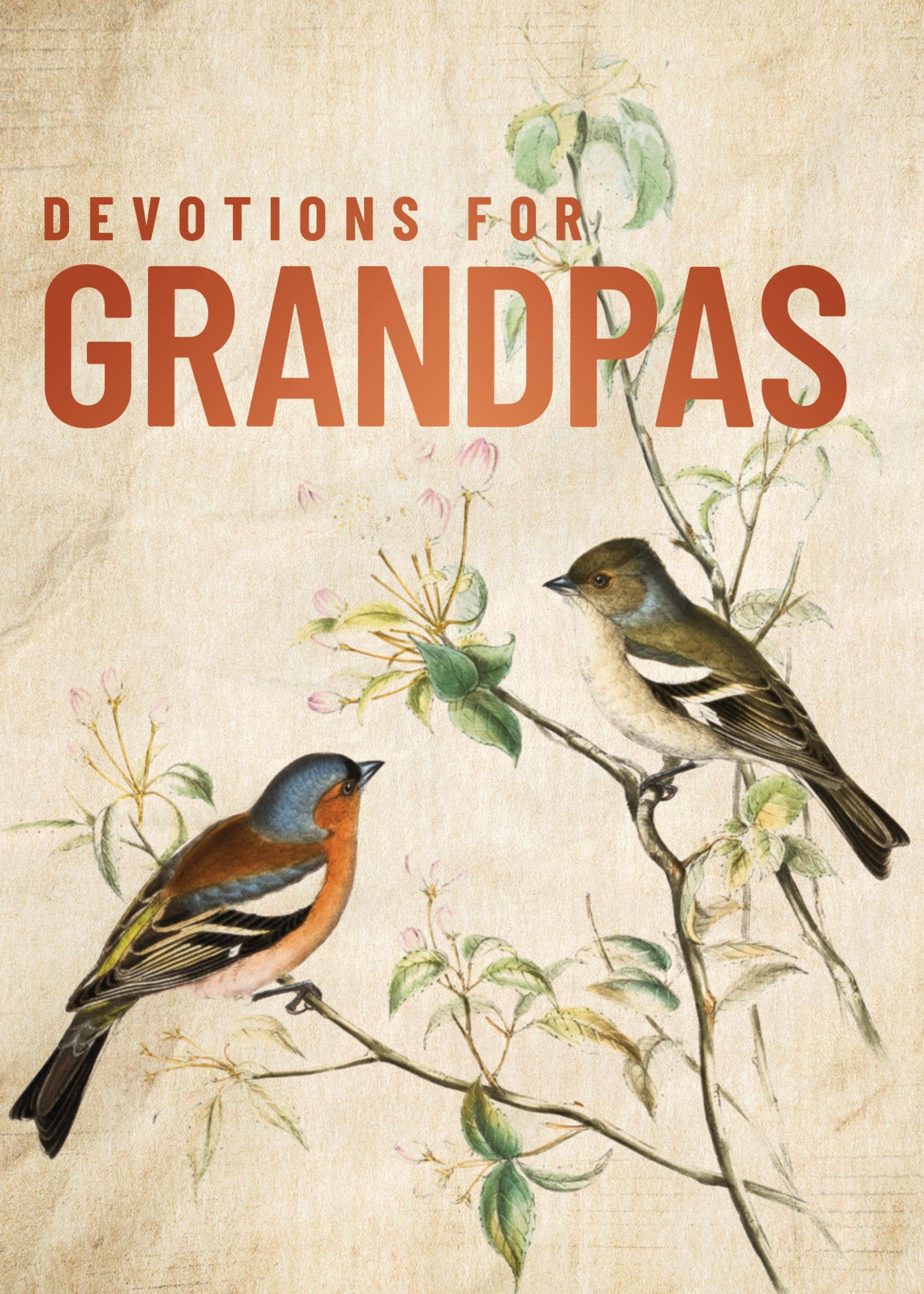 HarperCollins Christian Publishing - Devotions For Grandpas