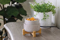 Candle Warmers Etc. - Wooden Pedestal 2-In-1 Classic Warmer