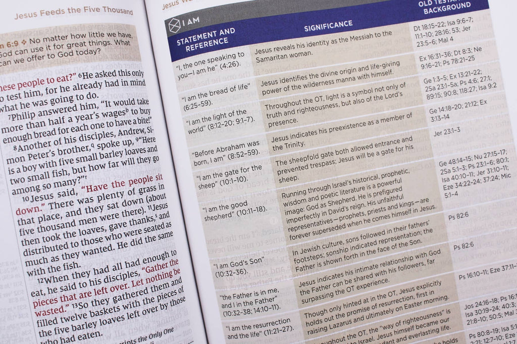HarperCollins Christian Publishing - NIV Application Bible Leathersoft Brown Red Letter