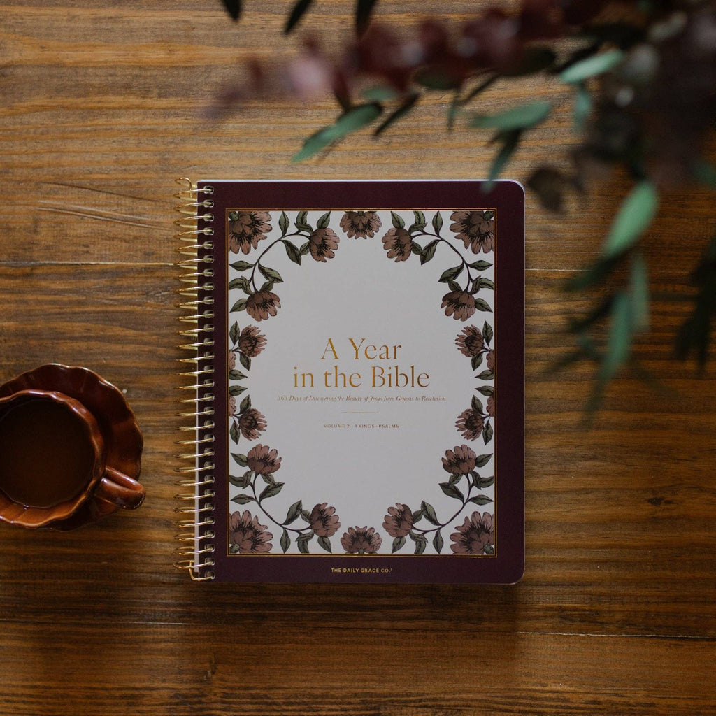 The Daily Grace Co - A Year in the Bible | 365 Days of Discovering the Beauty of Jesus from Genesis to Revelation | Volume 2