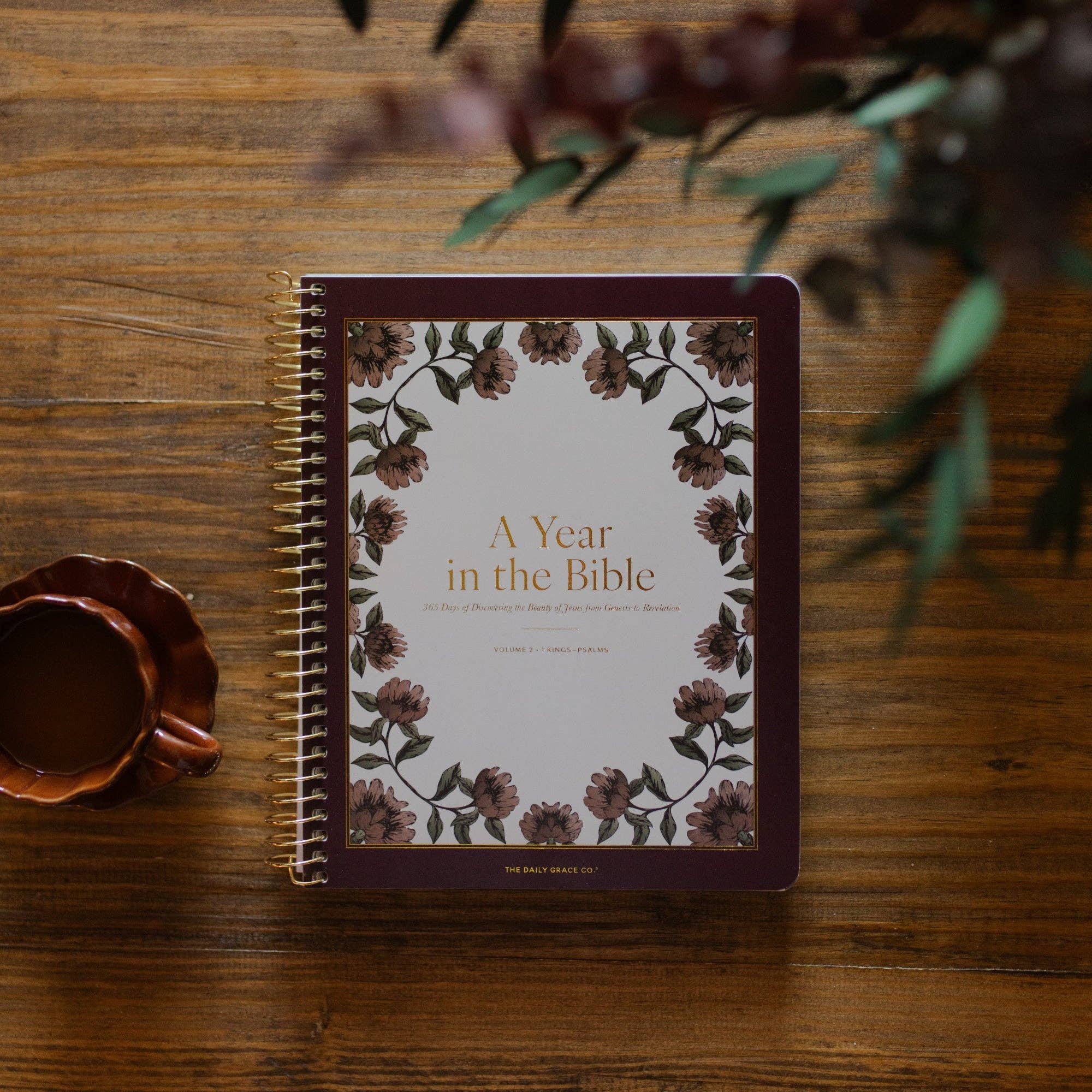 The Daily Grace Co - A Year in the Bible | 365 Days of Discovering the Beauty of Jesus from Genesis to Revelation | Volume 2