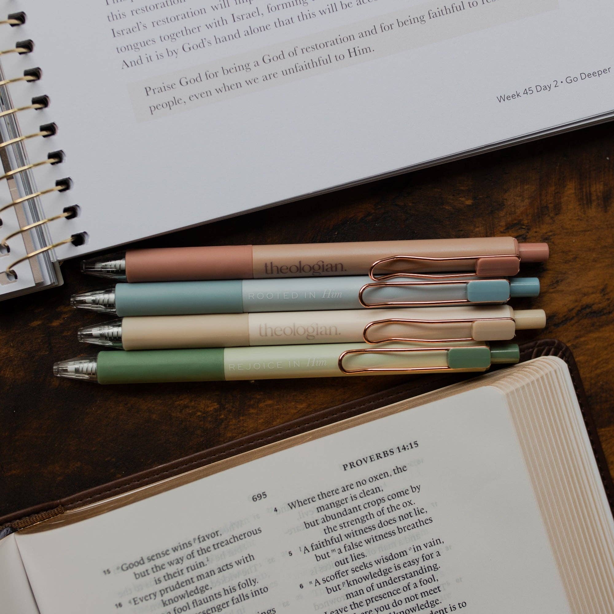 The Daily Grace Co - Theologian Pen Set