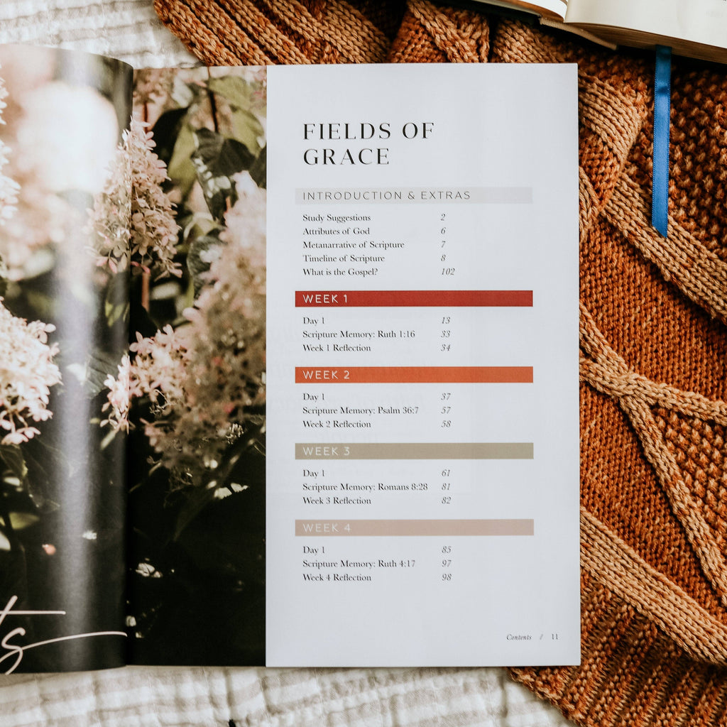 The Daily Grace Co - Ruth Study | Fields of Grace