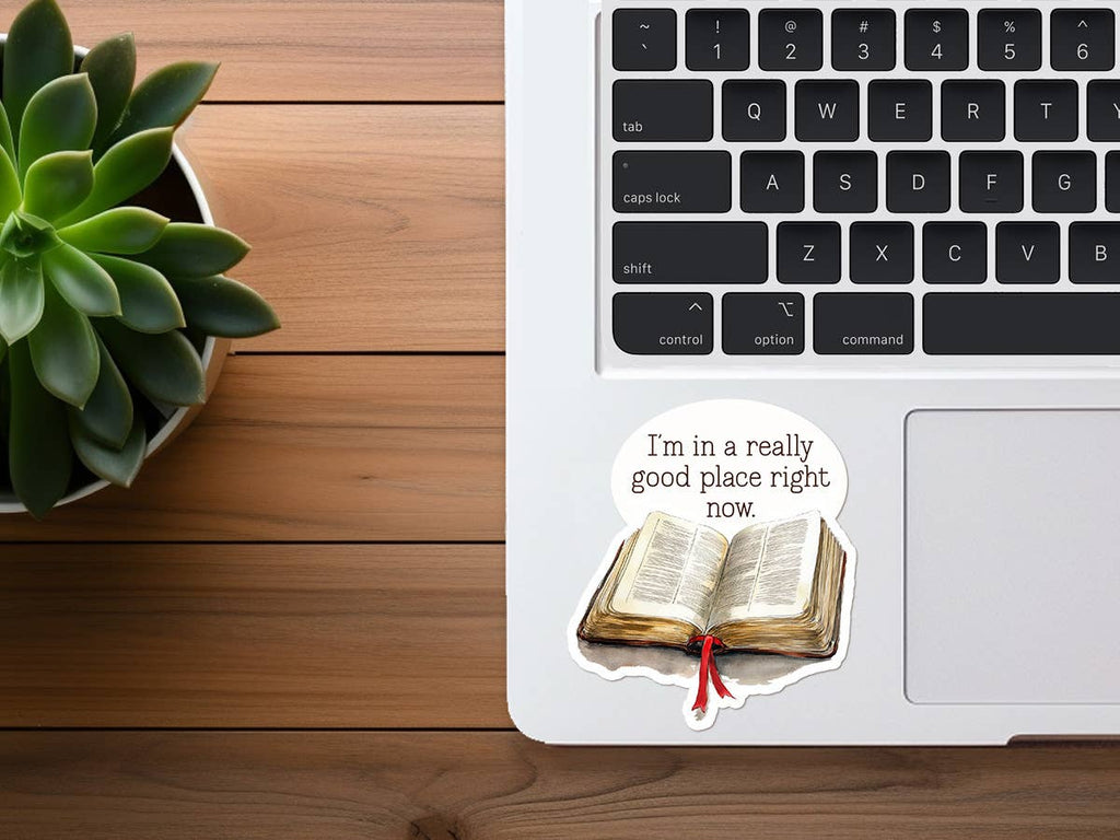 Missional Merch - I'm In A Really Good Place Right Now | Vinyl Bible Stickers